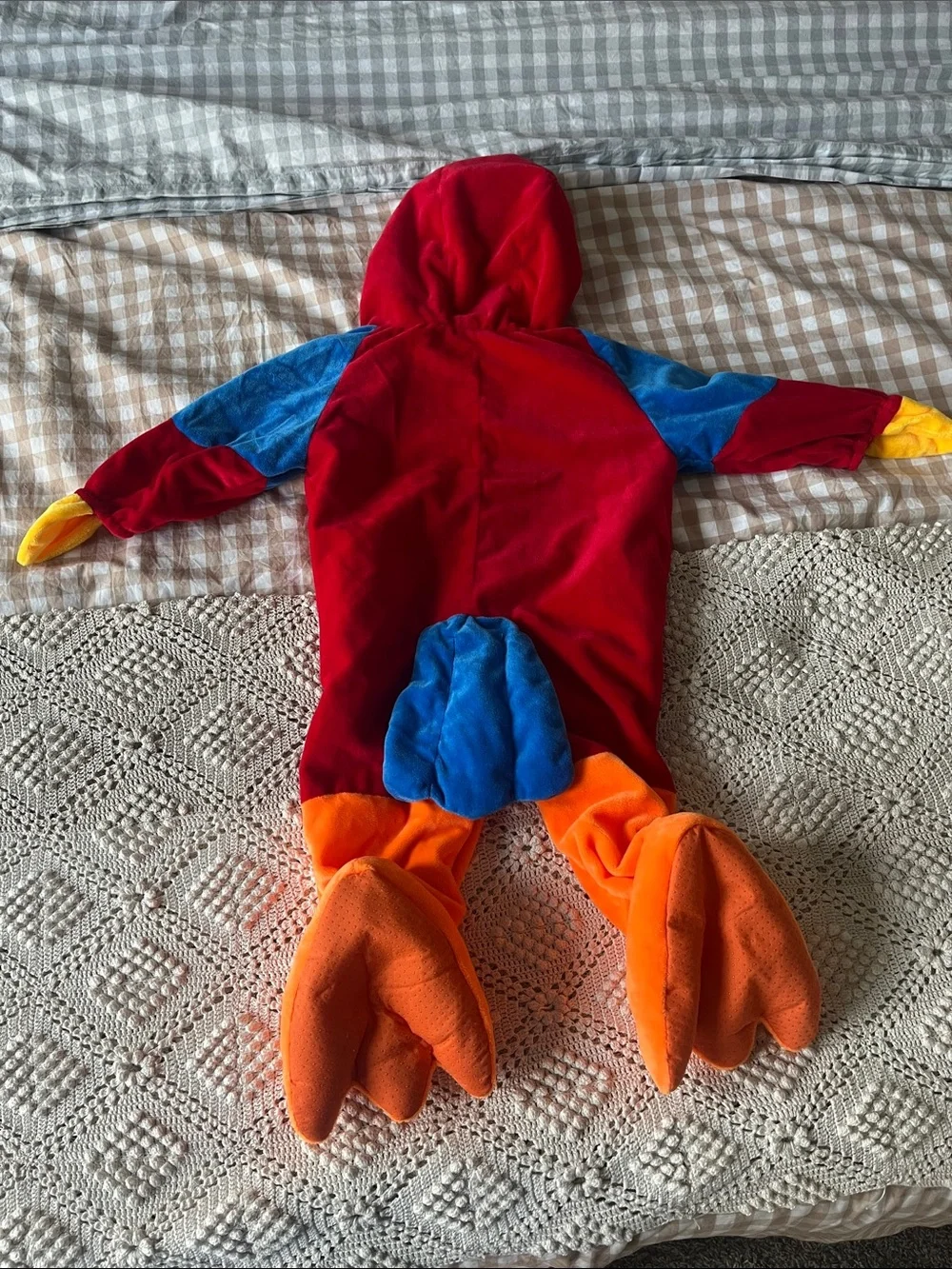 N/A macaw parrot
